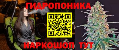 амф Гай