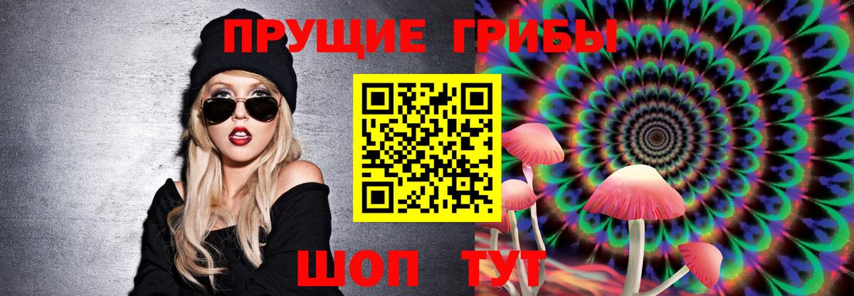 Горячий Ключ  дарнет шоп  Вход с VPN  Галлюциногенные грибы Cubensis 